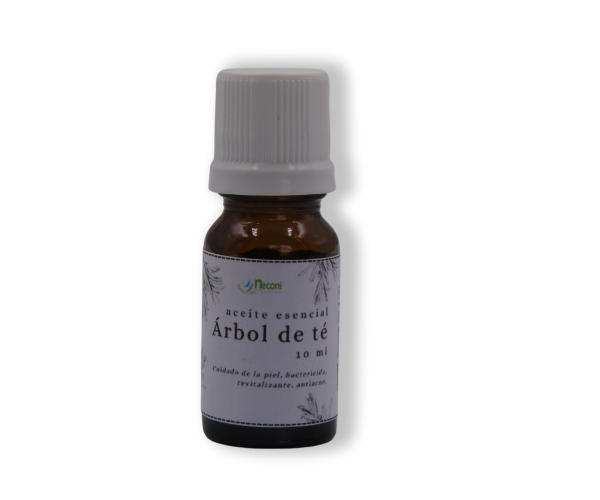 Aceite esencial árbol de té